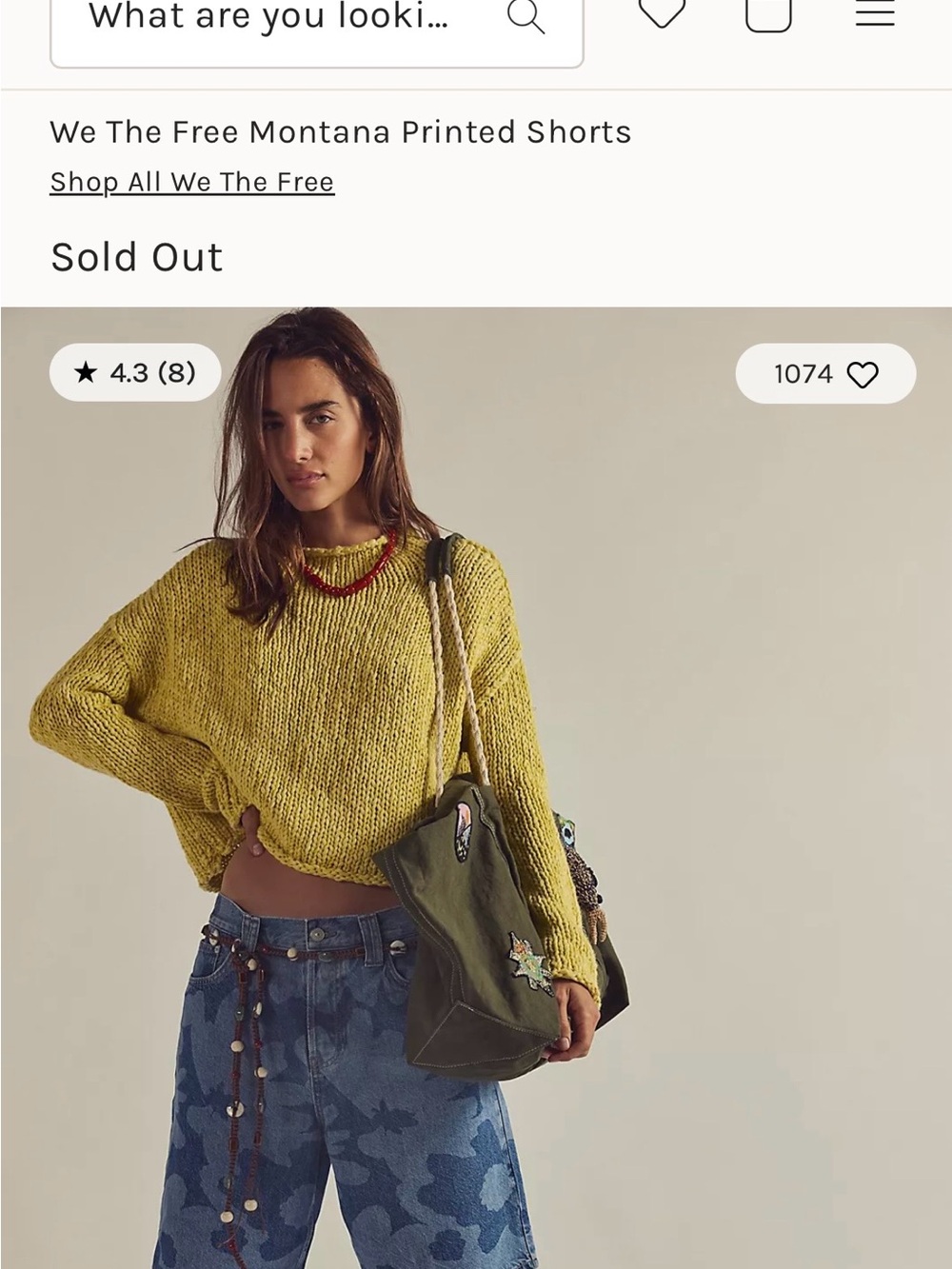 Free People We The Free Montana Floral Shorts W26